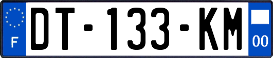 DT-133-KM
