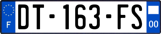 DT-163-FS
