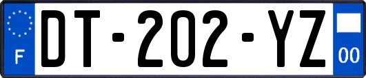 DT-202-YZ
