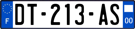 DT-213-AS