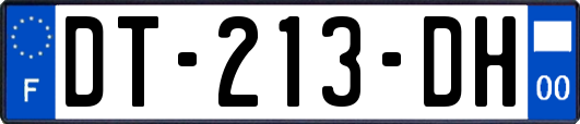 DT-213-DH