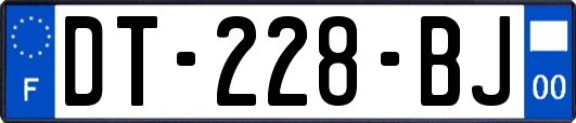 DT-228-BJ