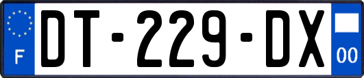 DT-229-DX