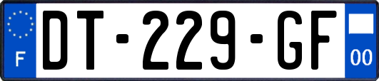 DT-229-GF