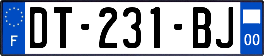 DT-231-BJ