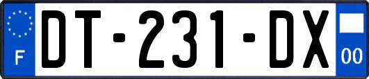 DT-231-DX