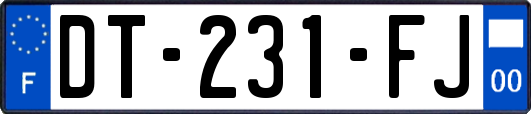 DT-231-FJ