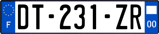 DT-231-ZR