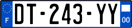 DT-243-YY