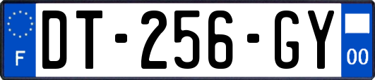 DT-256-GY