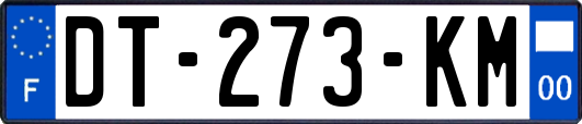 DT-273-KM