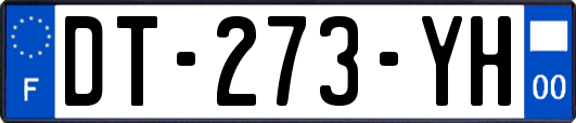 DT-273-YH