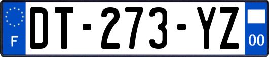 DT-273-YZ