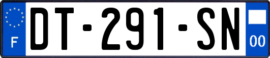 DT-291-SN