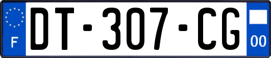 DT-307-CG