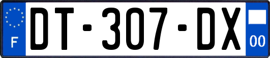 DT-307-DX
