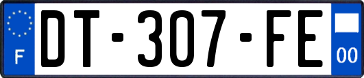 DT-307-FE
