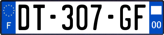 DT-307-GF