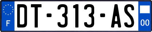 DT-313-AS