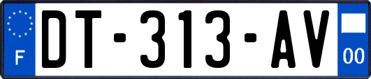 DT-313-AV