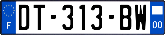 DT-313-BW