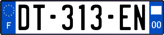 DT-313-EN