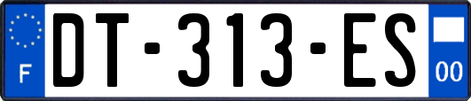 DT-313-ES