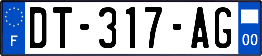 DT-317-AG