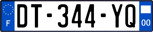 DT-344-YQ