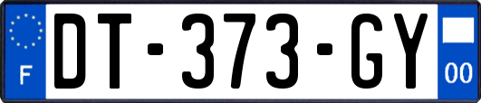 DT-373-GY