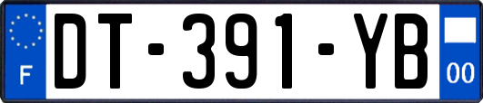 DT-391-YB