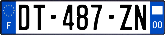 DT-487-ZN