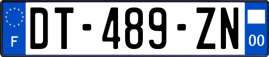 DT-489-ZN