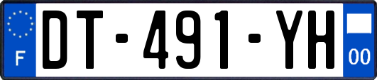 DT-491-YH