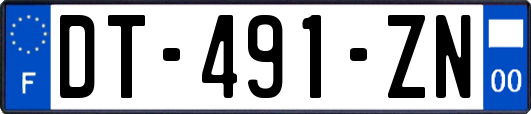 DT-491-ZN