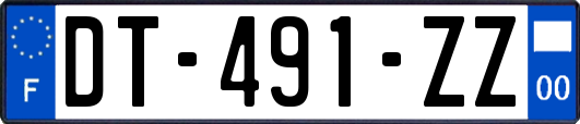 DT-491-ZZ
