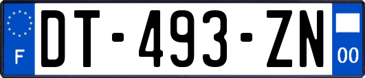 DT-493-ZN
