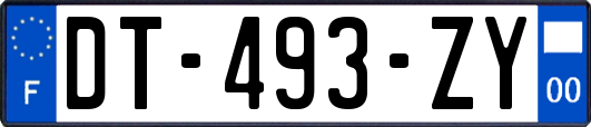 DT-493-ZY