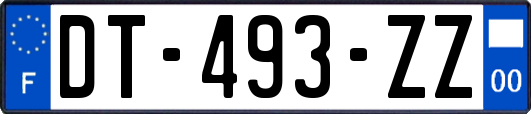 DT-493-ZZ