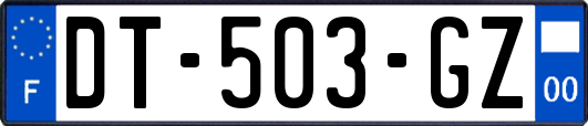 DT-503-GZ