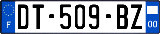 DT-509-BZ