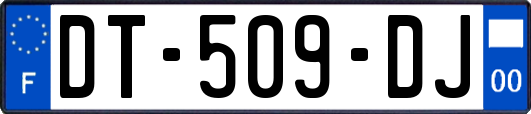 DT-509-DJ