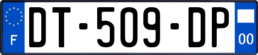 DT-509-DP