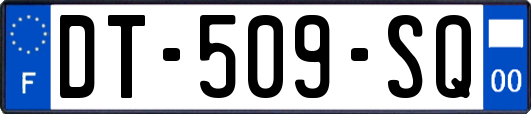 DT-509-SQ