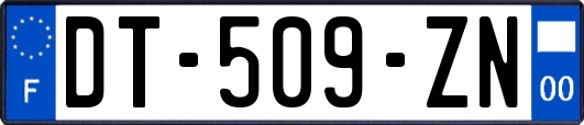 DT-509-ZN