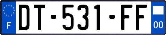 DT-531-FF