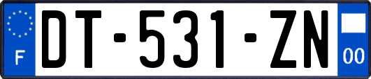 DT-531-ZN