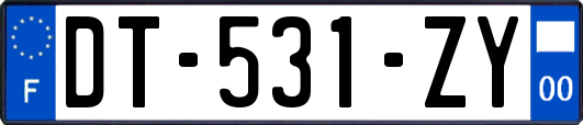 DT-531-ZY