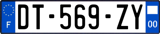 DT-569-ZY
