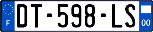 DT-598-LS